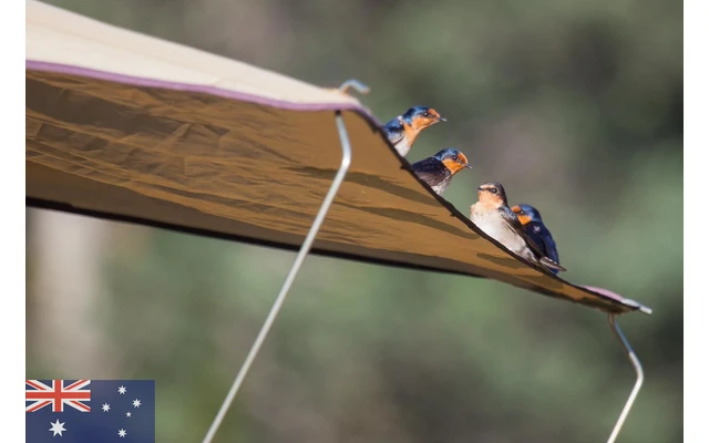 Gordigear Dachzelt 140 Plus Für 2 Personen Mit Vorzelt 140 X 320 Cm Grün – Bild 7